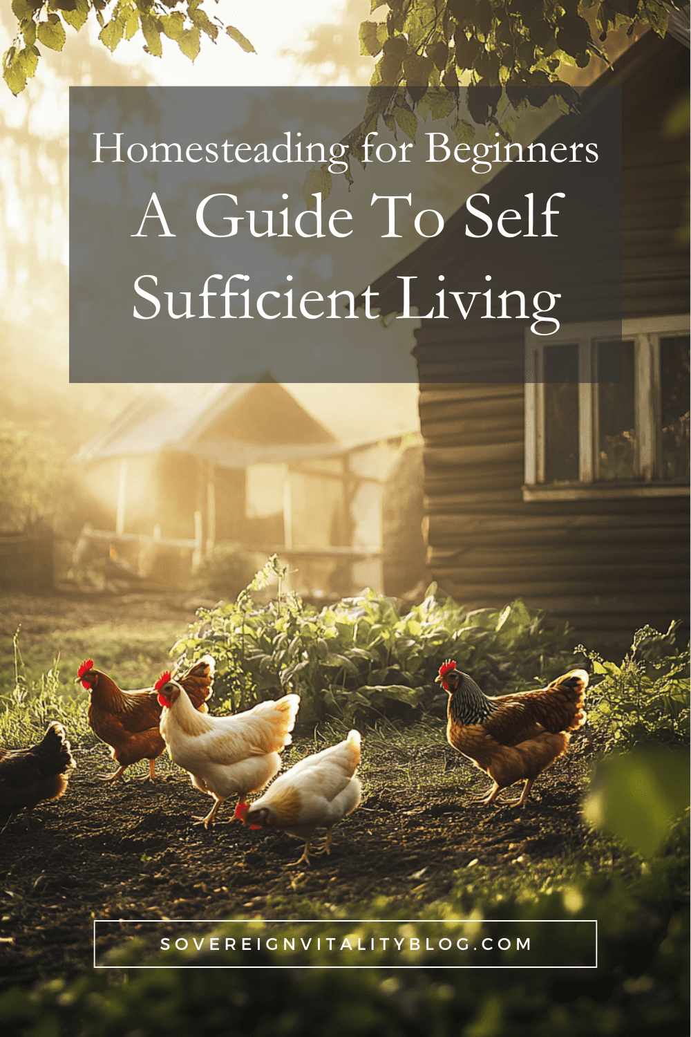How To Begin Homesteading: Self Sufficient Living Even In Small Spaces