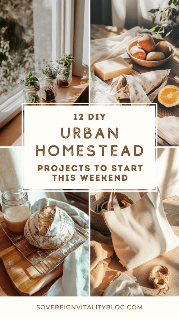 urban-homesteading-beginners-projects Urban Homesteading Projects For Beginners Pin