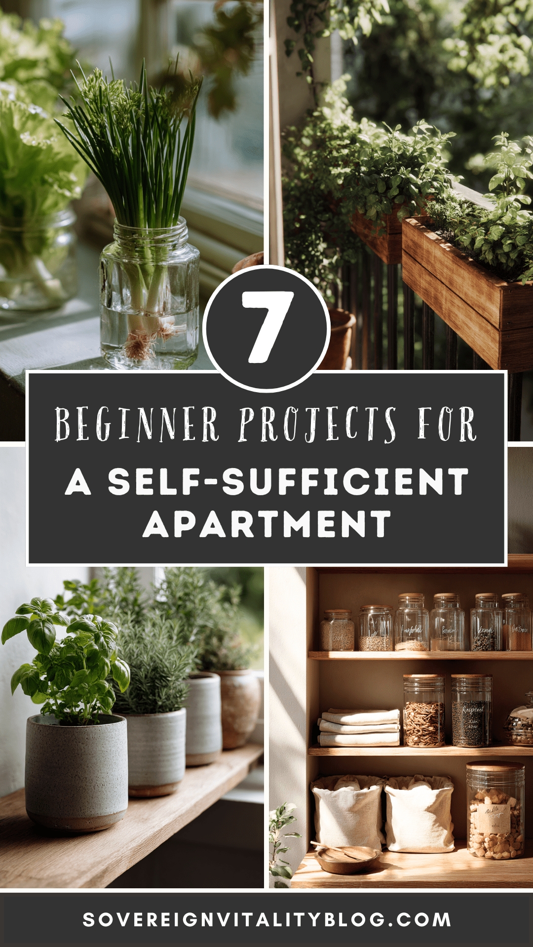 Illustration of Self Sufficient Apartment Renovation Plans