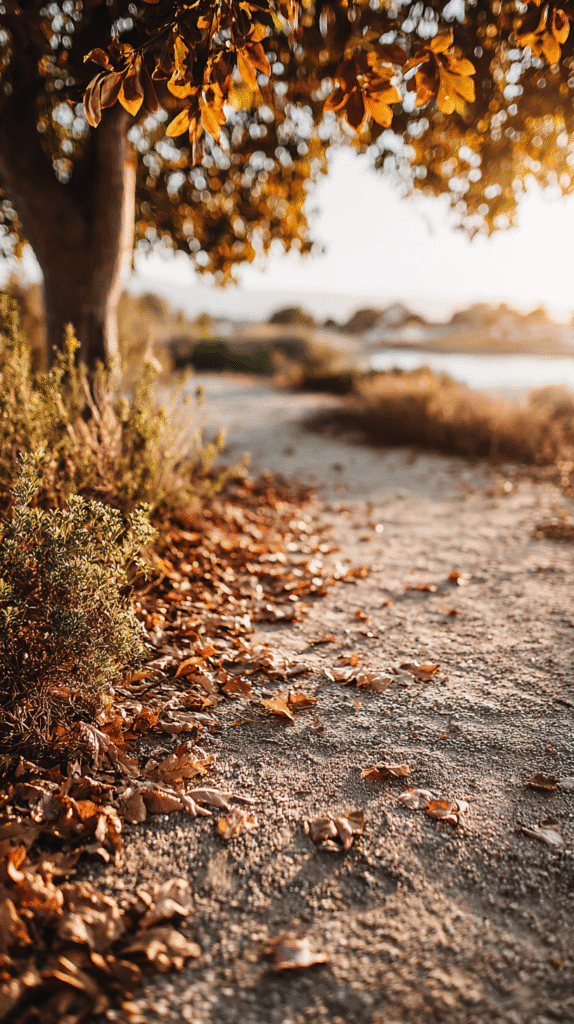 Sunlit autumn path covered with fallen leaves and tree in the background, creating a peaceful, natural scene.