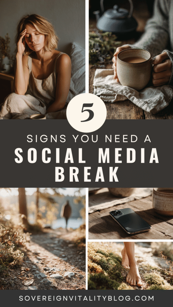social-media-break1 5 signs you need a social media break with nature scenes and relaxation moments. SovereignVitalityBlog.com