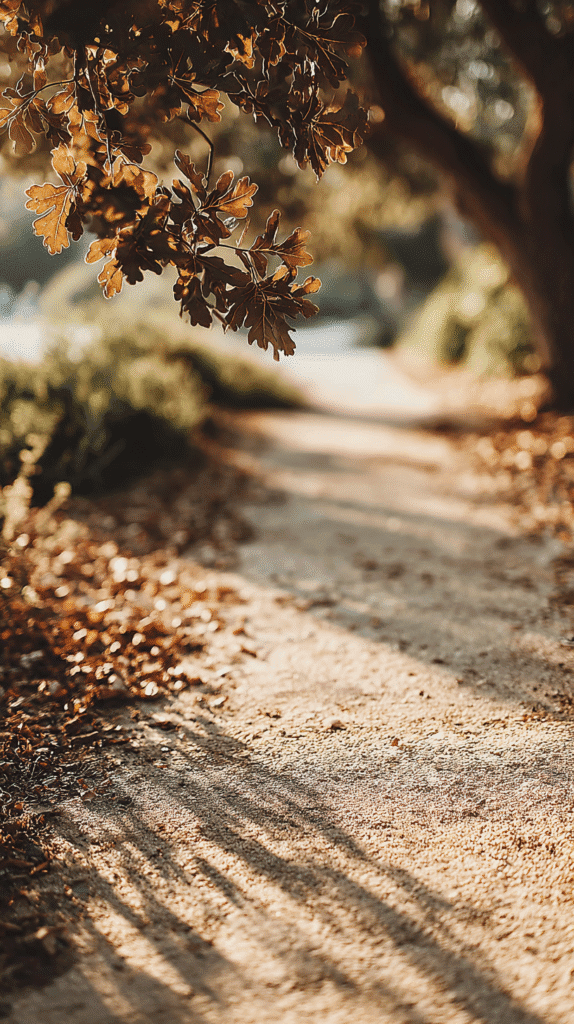 Sunlit path with autumn leaves and oak branch, creating a warm and serene nature scene.