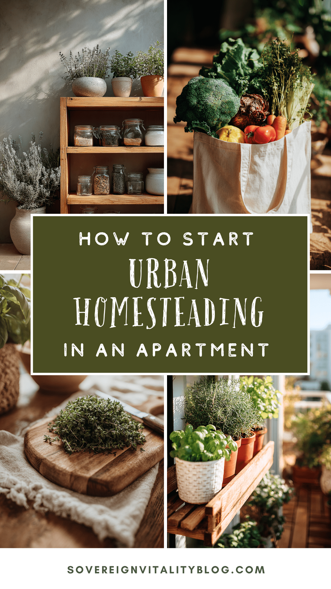 Self-Sufficient Apartment Modernization photo