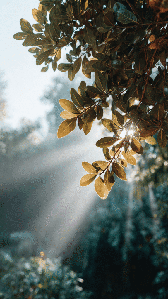 Sunlight filtering through vibrant green leaves in a peaceful forest setting.