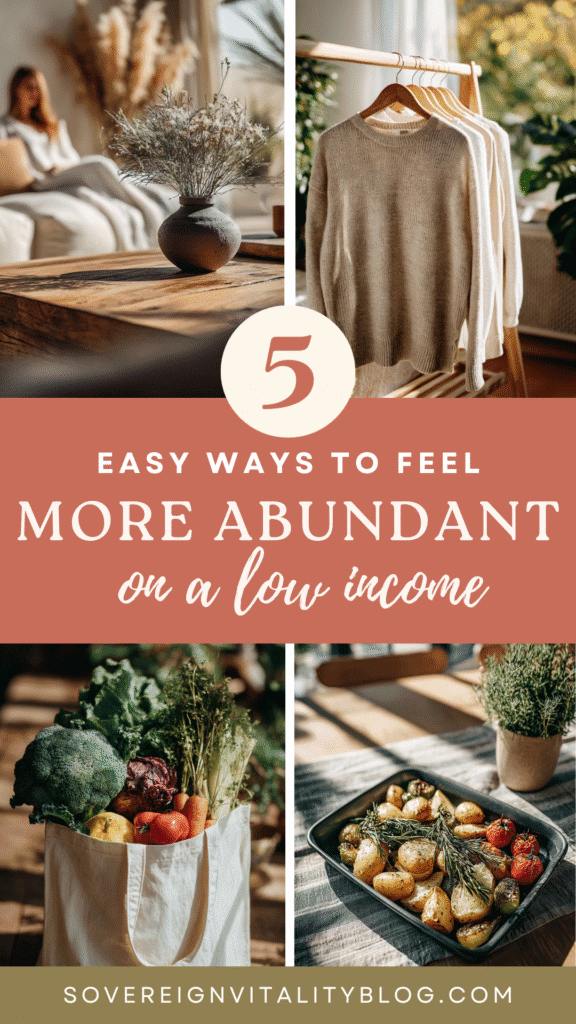 self-sufficient-living-low-income 5 tips for abundant living on a budget, featuring cozy home, wardrobe, fresh produce, and a vibrant blog.